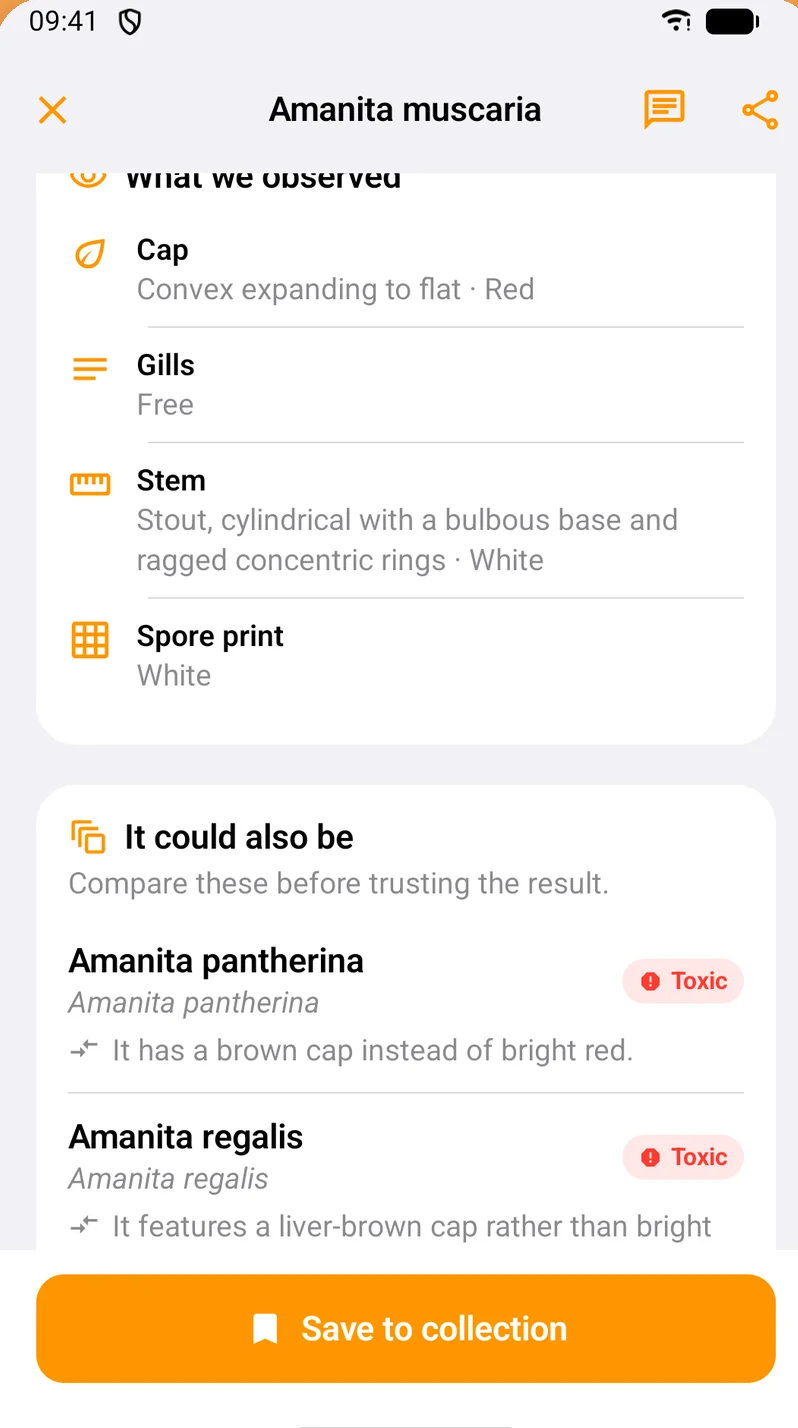Shroomly detailed result with classification, habitat and safety notes